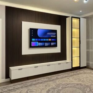 TV PANEL ALL SEEN IN THE PICTURE | TV CONSOLE | SHELVES | TV MOUNT